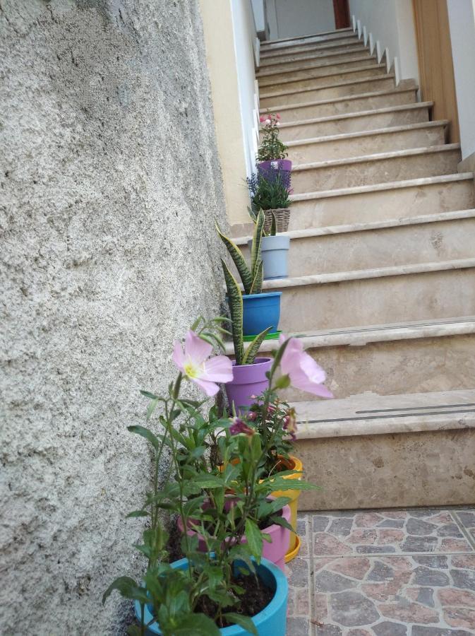 Villa Vasili Σκιάθος Πόλη Εξωτερικό φωτογραφία